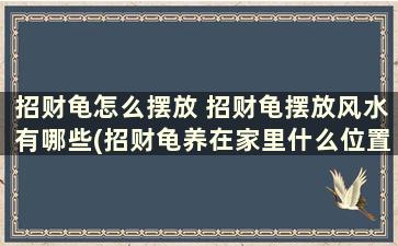 招财龟怎么摆放 招财龟摆放风水有哪些(招财龟养在家里什么位置好)